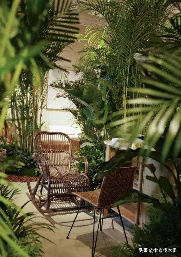 轉角遇見秘密花園,是冬日最幸運的事情之一 轉角遇見秘密花園,是冬日最幸運的事情之一