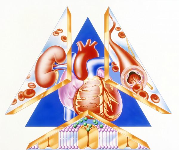 從診斷高血壓到腦出血去世,10年間這位患者經歷了什麼? 從診斷高血壓到腦出血去世,10年間這位患者經歷了什麼?