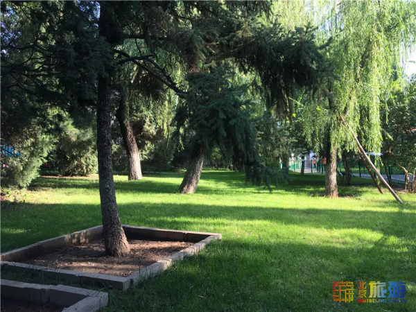 免費!這幾個公園風景如畫,還有竹林、大草坪~ 免費!這幾個公園風景如畫,還有竹林、大草坪~