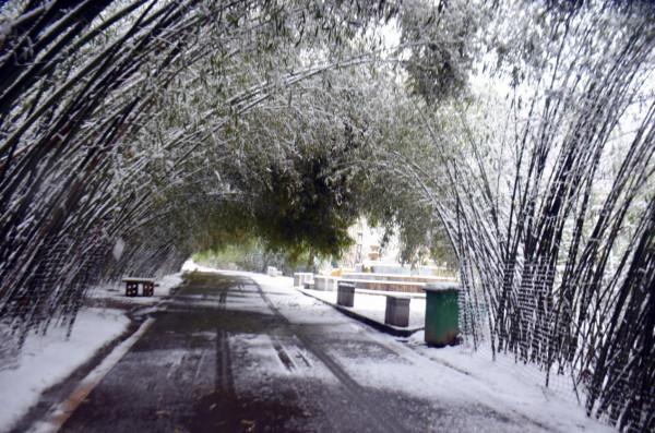 河南必去的小眾景點，寒假親子游勝地，4A級景色目前門票半價
