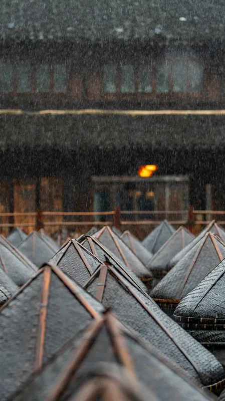 一葉知秋,烏鎮秋天的第一波美圖,誰看誰心動 | 烏鎮•美圖 一葉知秋,烏鎮秋天的第一波美圖,誰看誰心動 | 烏鎮•美圖