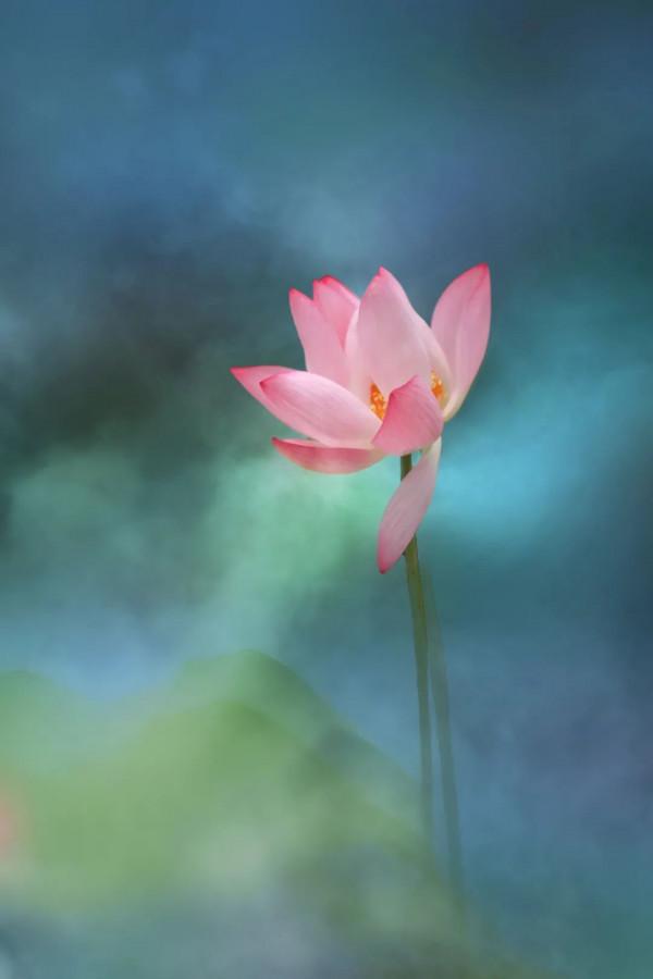 從一月到十二月，一個月份一首詩，太美了