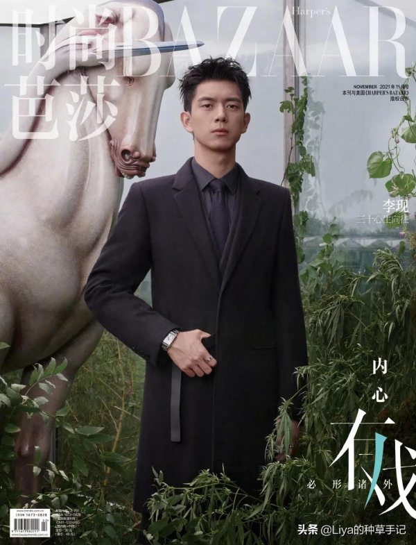 四字女頂流，憑什麼登上雜誌封面？