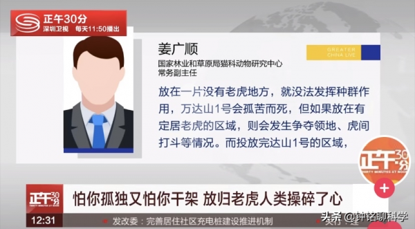 6個月前，誤入村莊的完達山一號找老婆了嗎？雄虎找老婆有多難？