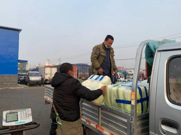 新發地冬儲大白菜上市 價格較去年同期上漲90% 新發地冬儲大白菜上市 價格較去年同期上漲90%