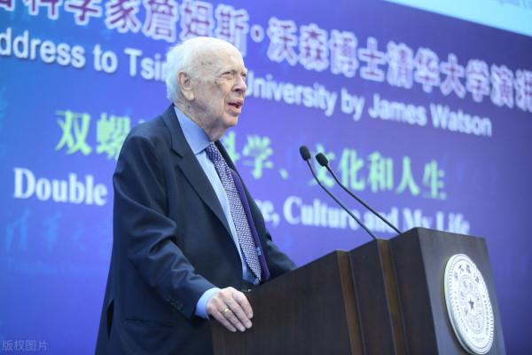 詞雲“讀”《DNA:生命的秘密》——諾獎得主沃森五十年思考大作 詞雲“讀”《DNA:生命的秘密》——諾獎得主沃森五十年思考大作