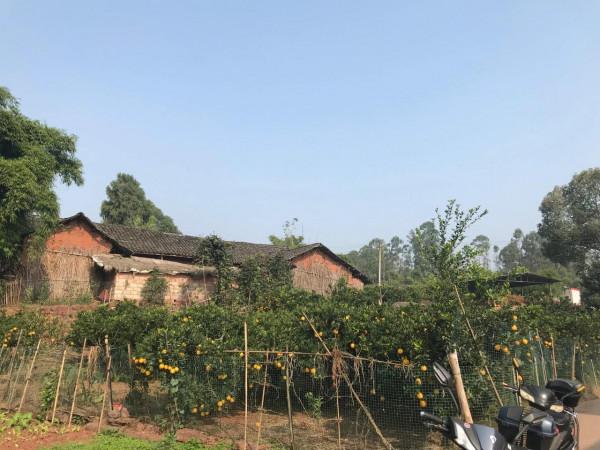 憶童年……(上) 憶童年……(上)