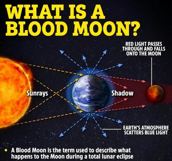 期待已久的“血月”來了,11月19日登場,想看就要定好鬧鈴 期待已久的“血月”來了,11月19日登場,想看就要定好鬧鈴