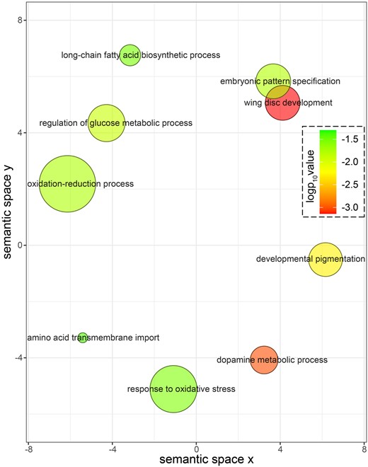 科學家們發現大黃蜂條紋的進化基因途徑