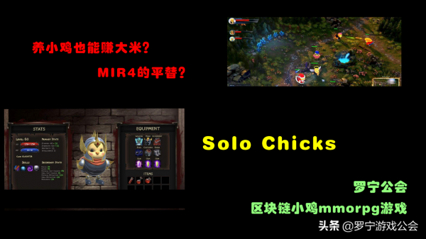 養小雞也能賺大米，SolChicks讓你實現打金自由