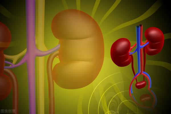 陳澤:提前預防和治療腎病,讓效果達到最好 陳澤:提前預防和治療腎病,讓效果達到最好