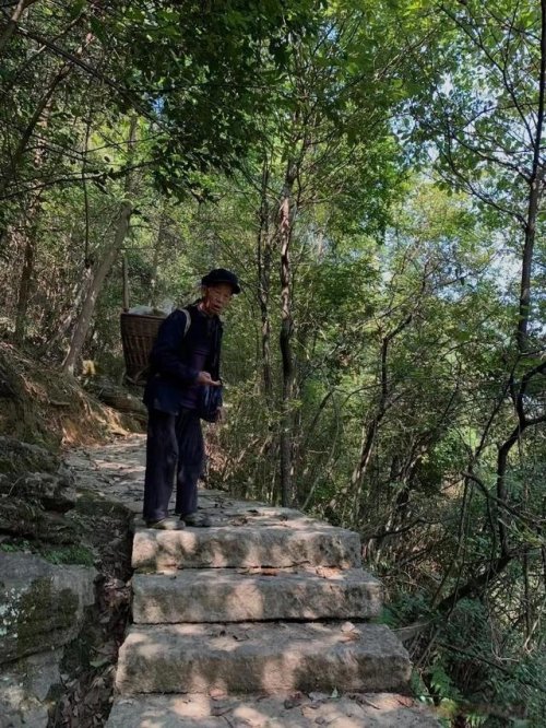 詠菊七絕三十首(30韻) 詠菊七絕三十首(30韻)