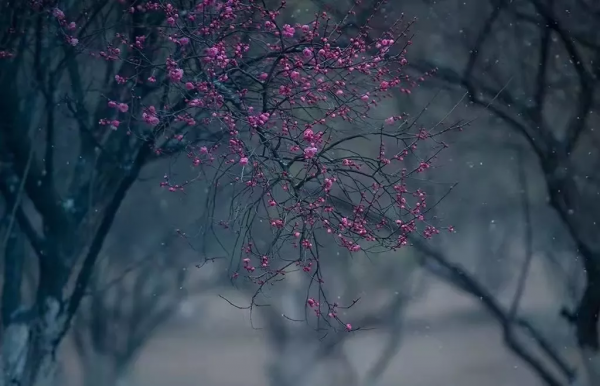 冬至——陰極之至，陽氣始生，日南至，日短之至，日影長之至