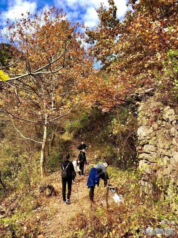 這條被譽為“浙江西南第一嶺”的紅楓古道你去過嗎？