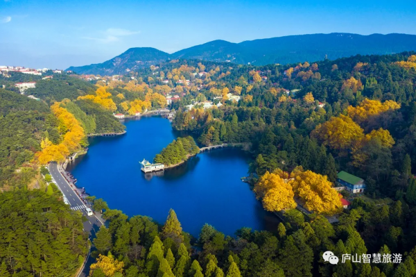 一聲梧葉一聲秋，廬山開啟七彩秋色模式