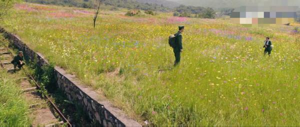 肖戰的王牌部隊開播了，竟然還有騙我眼淚的十一客串