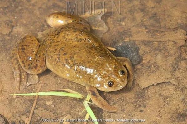 給你一個眼神,自己體會 給你一個眼神,自己體會