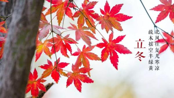 二十四節氣之——立冬