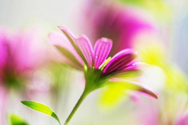 淡淡人生，需開啟靜音模式