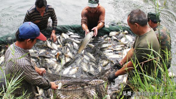 一個河南女大夫，傾聽一個山東大漢的故事後開出一個方子