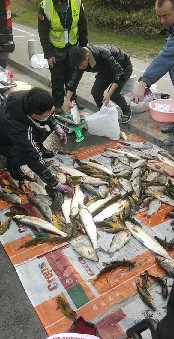 釣魚人在菜市場賣魚？老釣友：這魚獲看起來不像釣的