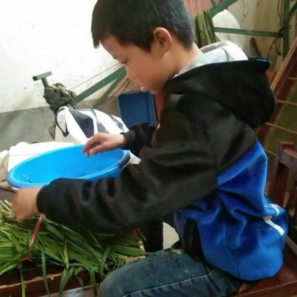 河南農村娃677分上清華,一家養豬艱難生活,為5000塊學費發愁 河南農村娃677分上清華,一家養豬艱難生活,為5000塊學費發愁