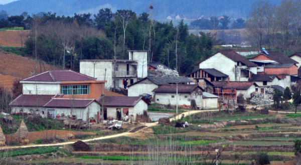 農村3種生意已被禁止，嚴重的或面臨判刑，還有4種生意逐漸吃香