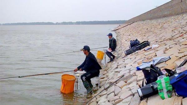 一入冬魚兒就消失？知道這些小竅門，魚兒乖乖來找你，魚獲翻倍