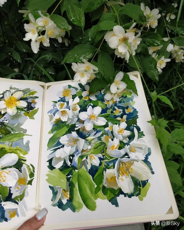 美極了!畫中花,花中畫 美極了!畫中花,花中畫