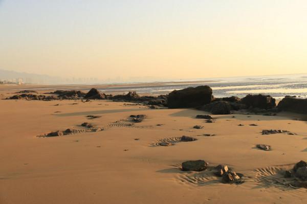 銀杏道的盡頭是大海 銀杏道的盡頭是大海