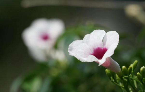 一生二，二生三，三生萬物，萬物於心