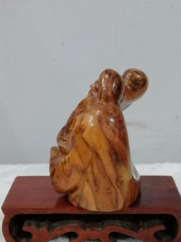 長壽之星…海黃 長壽之星…海黃