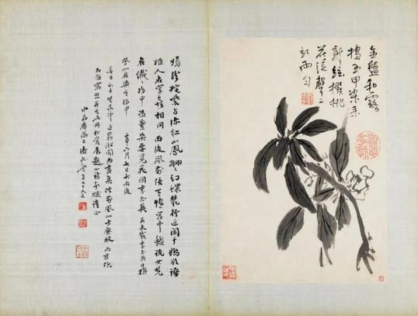 張大千珍賞的水墨花卉冊,令人玩味無盡 張大千珍賞的水墨花卉冊,令人玩味無盡