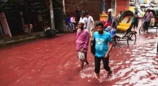 太罕見！美國小鎮下起“動物雨”，無數小魚從天而降，哪來的？
