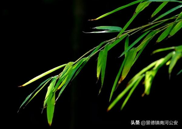 詩詞｜意境最美的十二首中國古詩詞