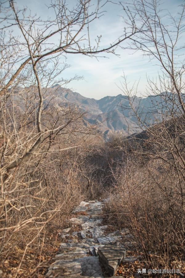 北京徒步登山：房山藥王谷環穿，三水步道泗馬溝段，灌木叢段太野