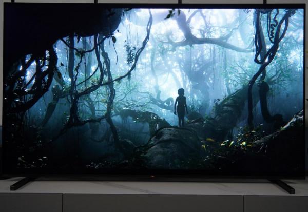 最適合有娃和影視一族的OLED電視Sony65A80J 最適合有娃和影視一族的OLED電視Sony65A80J