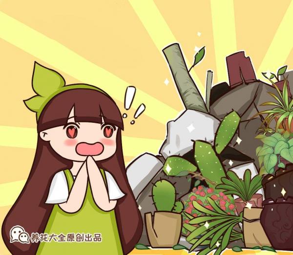 4種花天生“窮命”，環境越差長得越好，十分好養