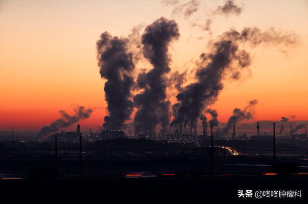 哥倫布從美洲帶回的「惡魔」，讓中國每年38萬人死於癌症