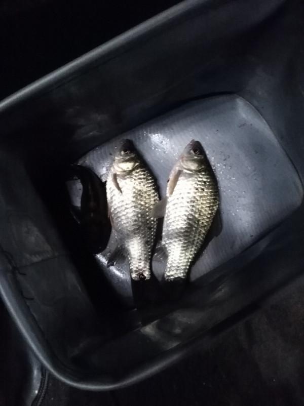 「美食」抓住領導的胃，讓領導催著你釣魚，豈不美哉