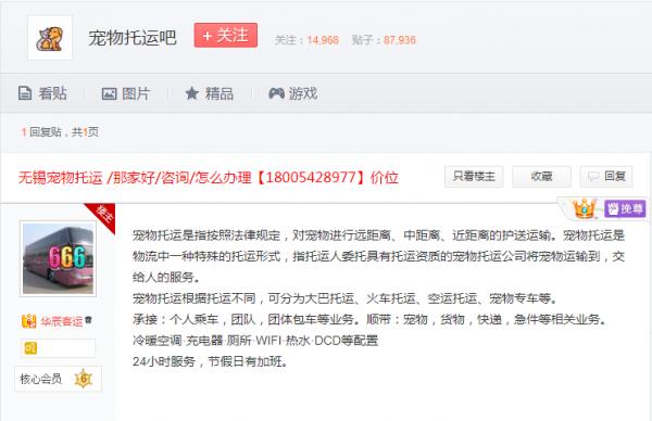 3000億元寵物經濟的背後亂象：貓的子宮、身體與生命，全都是錢