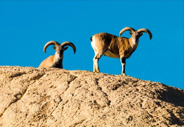 青海的這個地方要火了,秋天一定要去一次,中國最後的一片淨土 青海的這個地方要火了,秋天一定要去一次,中國最後的一片淨土