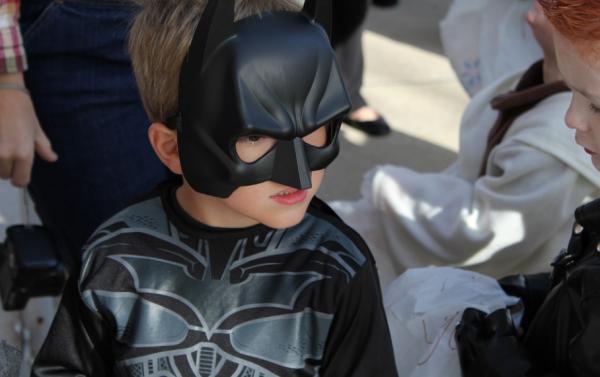 它們是地球上,唯一真正會飛翔的哺乳動物,可是卻不怎麼引人注目 它們是地球上,唯一真正會飛翔的哺乳動物,可是卻不怎麼引人注目