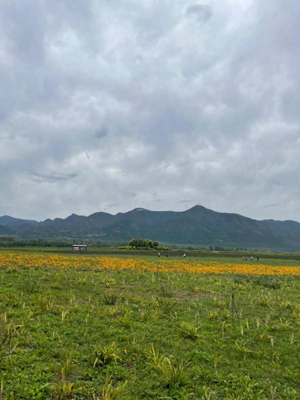 昌平七孔橋花海景區