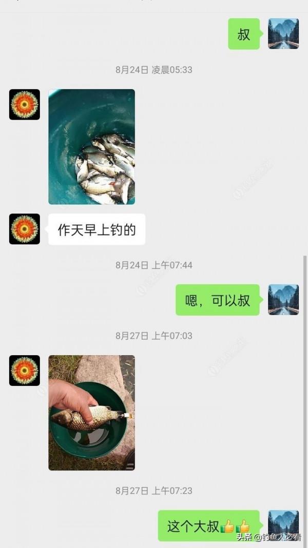 向高齡釣友請教的“搖三搖”釣法，毫無保留的分享給大家