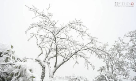 江西三清山遊記：這座仙山，產在人間