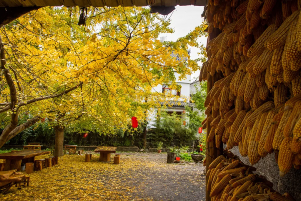 太美了!10個愈秋愈美的小眾旅行地,錯過只能再等一年 太美了!10個愈秋愈美的小眾旅行地,錯過只能再等一年