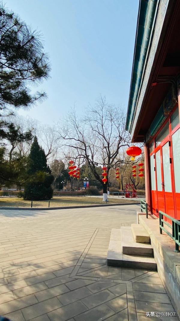 正月裡賞花過大年 正月裡賞花過大年