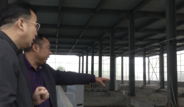 “讓魚兒住進樓房”成為全國首創