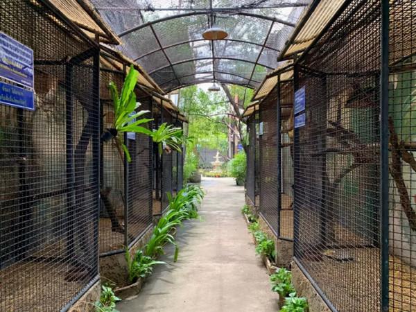 被囚禁水泥牢籠38年,一隻眼睛含淚的猩猩,成了無數人心中的痛 被囚禁水泥牢籠38年,一隻眼睛含淚的猩猩,成了無數人心中的痛